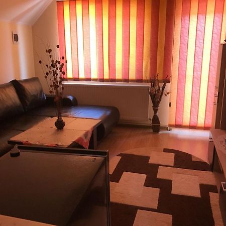 Steluta Villa Călimăneşti Eksteriør billede