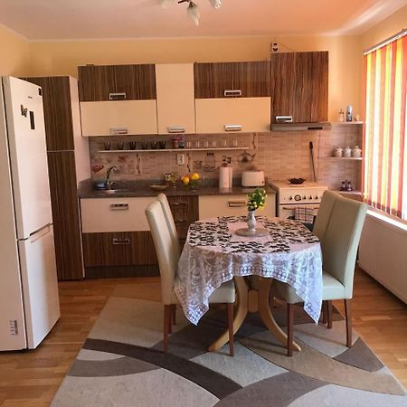 Steluta Villa Călimăneşti Eksteriør billede
