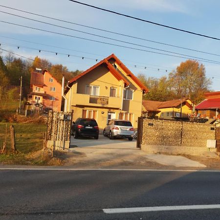 Steluta Villa Călimăneşti Eksteriør billede