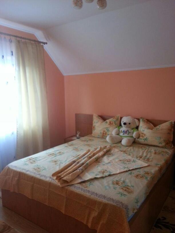 Steluta Villa Călimăneşti Eksteriør billede