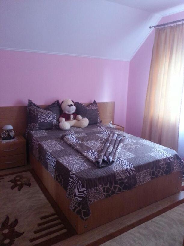 Steluta Villa Călimăneşti Eksteriør billede